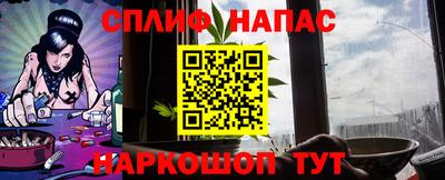 Альфа ПВП Краснознаменск